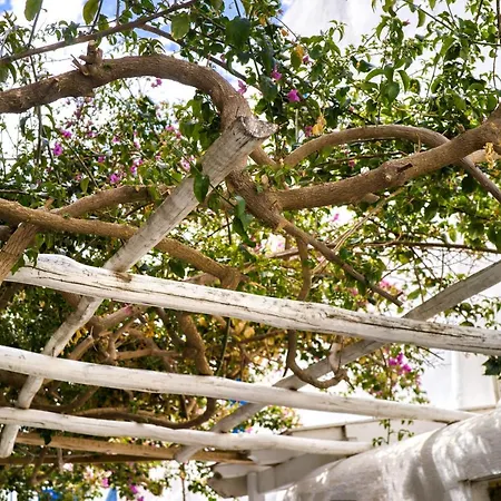 Hébergement de vacances K&k @mykonos Town Mykonos Town